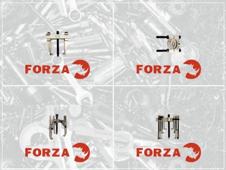 marca forza catálogo grupo chesa